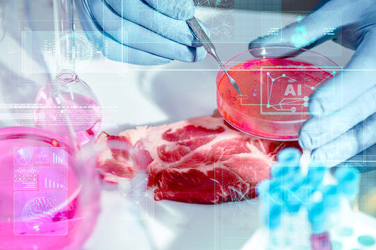 Raw pork steak examined next to a petri dish in a biotech laboratory. Concept of cultivated meat research, cell culture, AI-powered quality control, and traceability for modern food tech