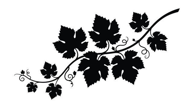 Grapevine branch with leaves and tendrils black silhouette