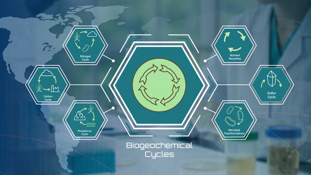 Illustration of interconnected biogeochemical cycles including nitrogen carbon phosphorus sulfur nutrient recycling and microbial transformation processes