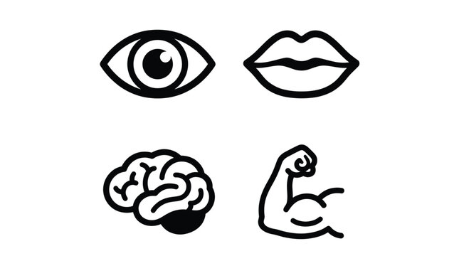 Black line icons of eye, lips, brain and flexed arm Vector