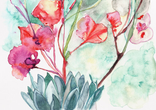 Abstract Red and Magenta Botanical Flowers with Blue Green Succulent Leaves, Hand Painted Watercolor