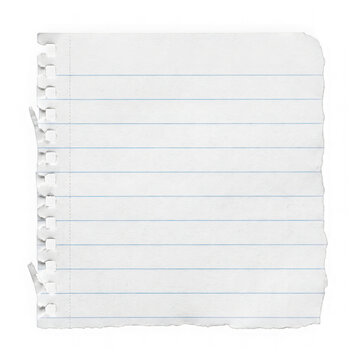 Single sheet of lined notebook paper with torn spiral edge