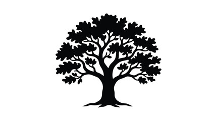 Fototapeta premium Oak tree silhouette against a white background silhouette
