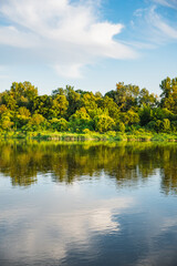 Fototapeta premium a landscape with a reflection of the plants growing along the banks of the Bug River in Podlasie