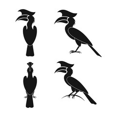 Exotic Hornbill Bird Silhouette Vector Set - Great Rhinoceros Hornbill Icons for Wildlife Branding, Tropical Nature Logo Design Elements, Minimalist Animal Graphics in Black and White. © Pixel Forge Studio