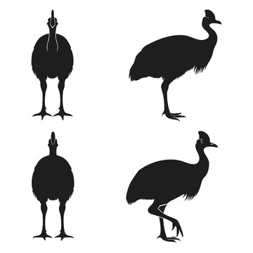 Cassowary Silhouette Set - Detailed Vector Illustrations of the Southern Cassowary from Multiple Angles including Front, Side, and Back Views for Nature and Wildlife Design Projects.