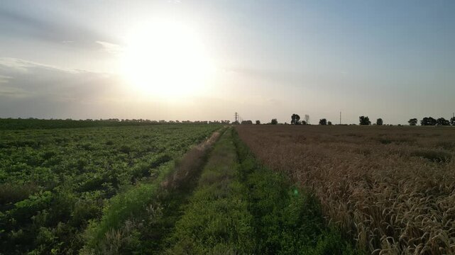 An absolutely stunning sunset casts vibrant hues over the contrasting green and brown agricultural fields