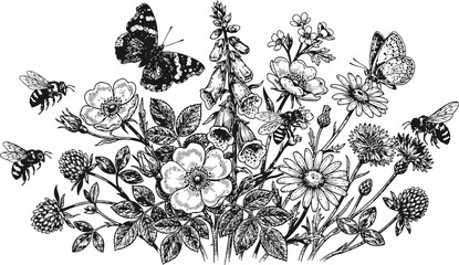 Delicate floral engraving with butterflies and bees during a summer meadow scene © sakib