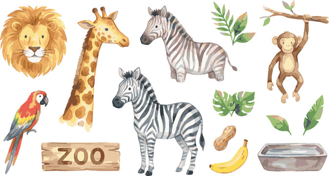 Isolated on Collection of watercolor animals, elements and attributes of the zoo vector illustration on white background