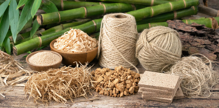 Eco-friendly material selection with bamboo stalks and natural hemp fibers for design eco conscious sustainable material resource renewable building industry ecological packaging