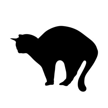 Cat silhouette arching back black pet animal handdrawn