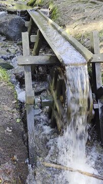 old mill in the forest