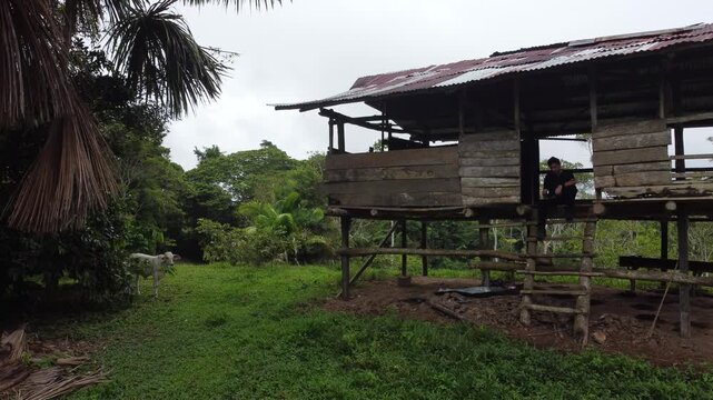 Santa clara de ojeal rural life in a wooden stilt house in the amazon jungle of iquitos, peru