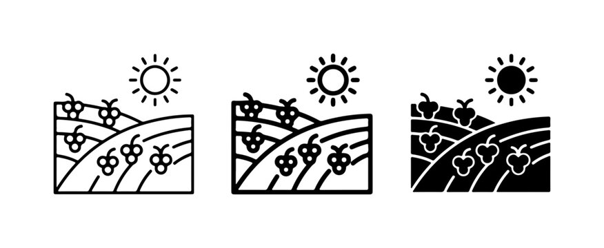 Vineyard Icons, Grape Harvest Landscape, Sunny Agriculture Scenes