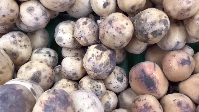 Fresh Longkong Fruit Clusters Close Up at Market, Tropical Asian Fruit Background