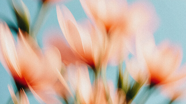Abstract floral motion blur featuring soft pink petals against a light blue background, creating a dreamy and ethereal visual effect with vibrant colors and gentle shapes