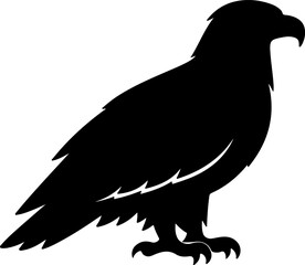 Fototapeta premium Bald Eagle Silhouette Black Vector Icon Isolated on Transparent Background