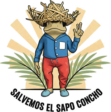 Sapo concho, puerto rico, peltophryne, sapo con sombrero