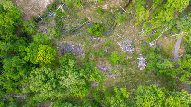 Top‑down aerial drone view of forest canopy and land clearing in rural Georgia, USA