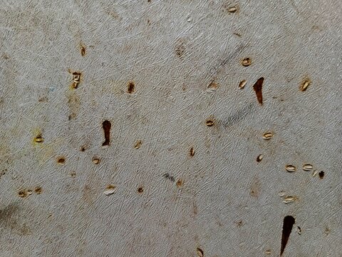 Full-frame macro texture of a weathered white wallpanel sticker showing signs of wear and tear, with small torn holes and scratches that reveal the brown multiplex wood base beneath. Ideal for grunge 