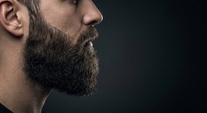 Side profile of man with thick well groomed beard on dark background