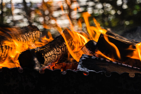 Blazing campfire with burning firewood