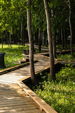 Zigzag wooden boardwalk in forest