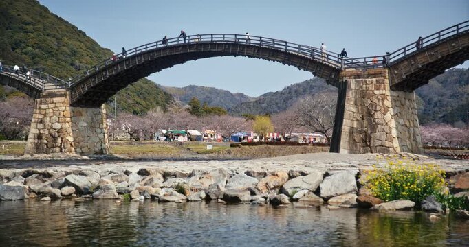 Wooden arch bridge over river with cherry blossoms in Japan spring season - wide shot