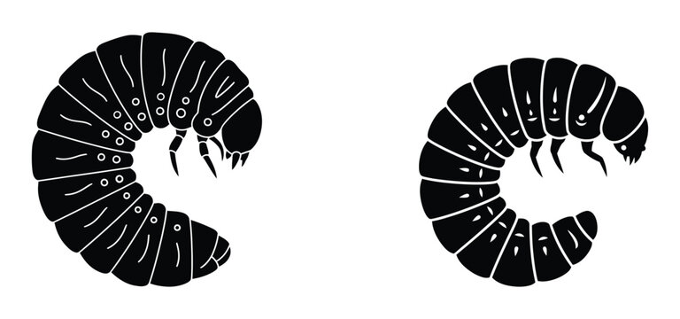 Black millipede silhouettes on white background