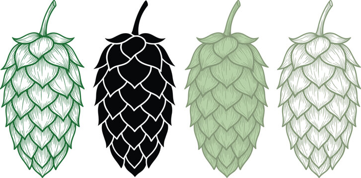 Hop cone botanical illustration set with green, black, light, pale variations, brewing ingredient design, vector artwork
