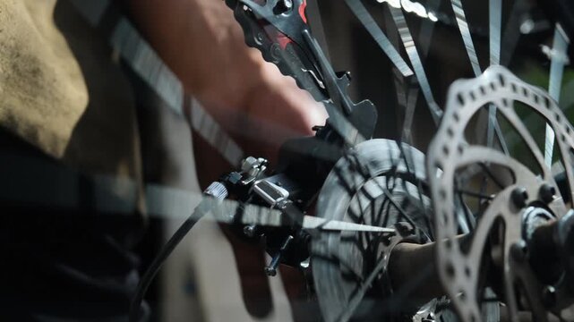 Bicycle repair technician installing rear wheel after repair and placing drive chain onto sprockets while rotating wheel by hand. Repair of cycling transport. Disc brake systems on bicycles