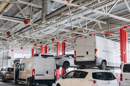 Busy auto repair shop interior with multiple vehicles on lifts undergoing maintenance and service