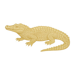 Fototapeta premium PNG Golden alligator illustration art