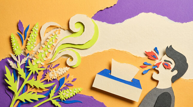 Man sneezing with tissues near blooming ragweed and colorful background  