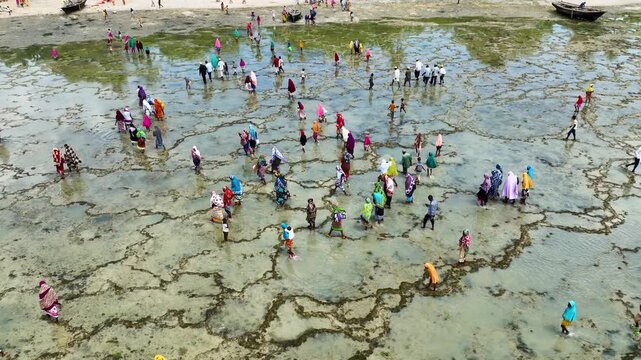 Drone Aerial View of Local People Walking on the Shore During Low Tide, January 21, 2025, Tumbatu Island, Zanzibar, Tanzania