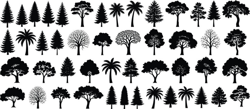 Tree silhouette vector illustration set with botanical motifs, forest figures, canopy icons, palm silhouettes and design art -flat vector illustration