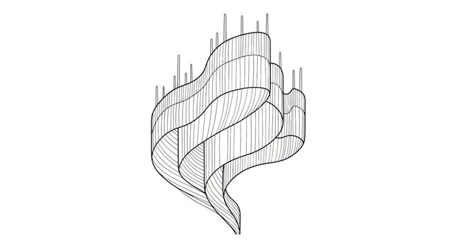 Detailed sketch of a twisted ribbon.