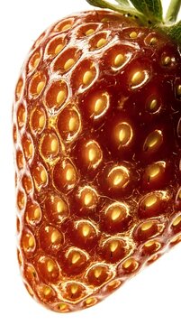 Fresh ripe strawberry with detailed drupelets isolated on white background, suitable for food packaging, culinary design, and healthy eating marketing materials.
