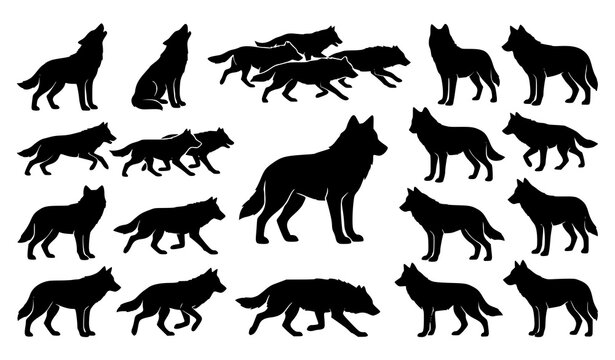 Wild wolf silhouette outline collection vector illustration