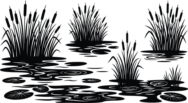 Black silhouette of cattails and water lily pads in a pond