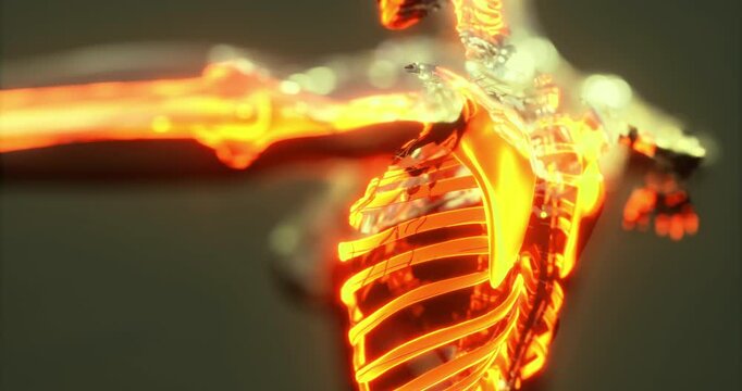This detailed depiction showcases the human skeleton illuminated with vibrant colors. The glowing elements highlight key anatomical structures, providing insight into body mechanics.