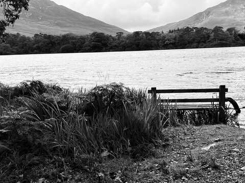 bench on the lake