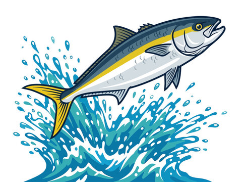 Flat vector illustration of a yellowtail kingfish jumping from water with energetic splash, sleek body and forked tail, bold vector outline,