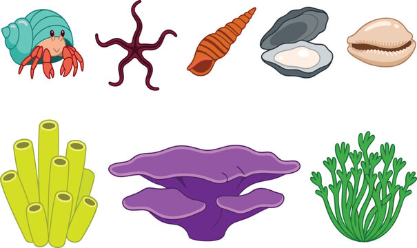 Cute Ocean and Reef Life Vector Set with Hermit Crab, Brittle Star, Conch, Oyster, Cowrie, Tube Coral, Flat Coral, and Seaweed Designs