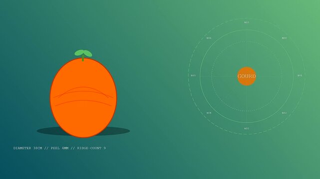 Community garden harvest shown through a sequence of orange gourd illustrations featuring technical diameter and ridge count statistics displayed upon a solid green gradient surface