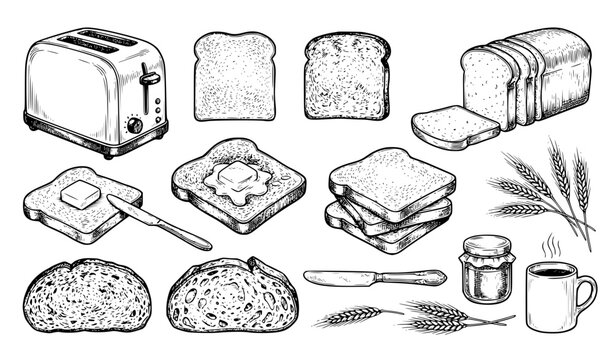 Toast Sketch Set Toaster Butter and Bread Hand Drawn Vector EPS 10