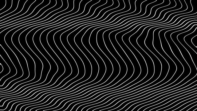Black and white abstract wavy and curvy lines pattern seamless loop copy space background animation.