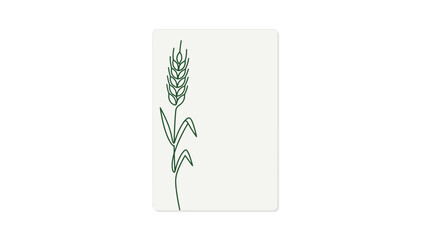 Minimalist line art illustration of a single wheat stalk on a light background. © Eijaz_Rahmat