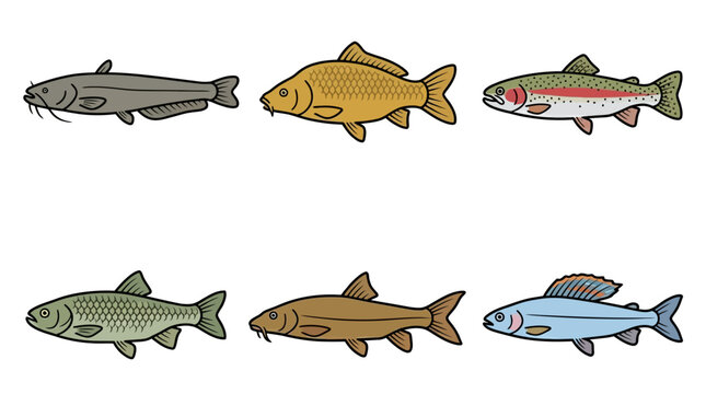 Flat vector icon set of 6 river fish: catfish, carp, trout, chub, barbel, and grayling