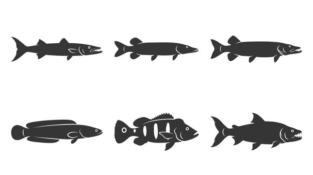 Flat vector icon set of 6 predatory fish: barracuda, pike, muskie, snakehead, peacock bass, and tigerfish 
